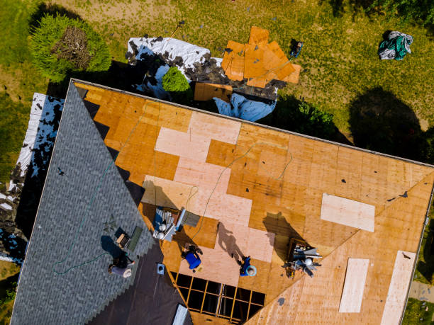 Best Metal Roofing Contractor  in Medina, TX