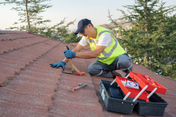 Best Storm Damage Roof Repair  in Medina, TX